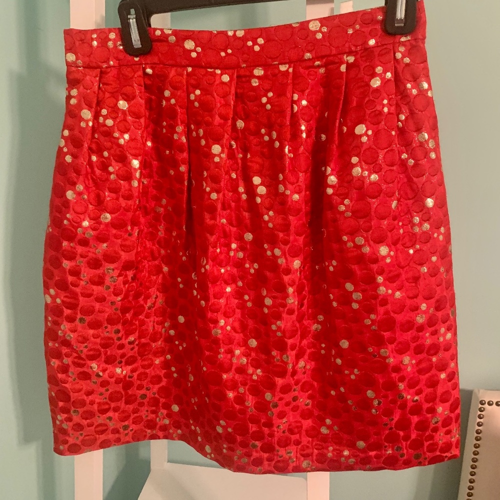 Anthropologie Crimson Bubbles Skirt NWT size 4